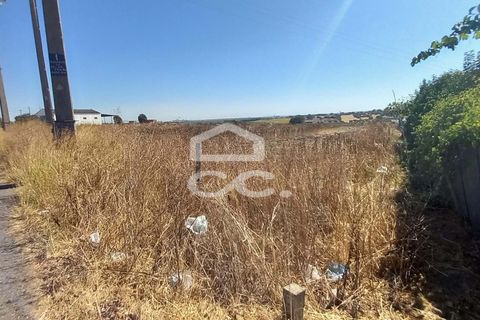 Helårsgrund i Beringel, Beja, Beringel - € 80.000 | Ref: 333/T/01421 - foto 5
