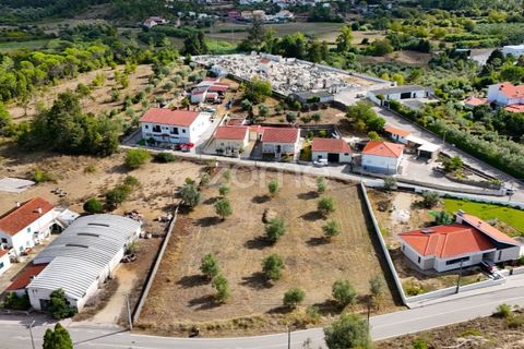 Tomt i Cernache, Coimbra, Cernache - € 220 000 | Ref: ZMPT580748 - foto 13