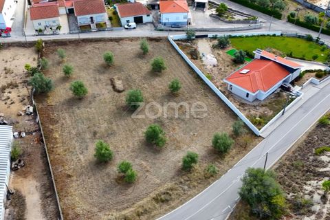 Tomt i Cernache, Coimbra, Cernache - € 220 000 | Ref: ZMPT580748 - foto 2
