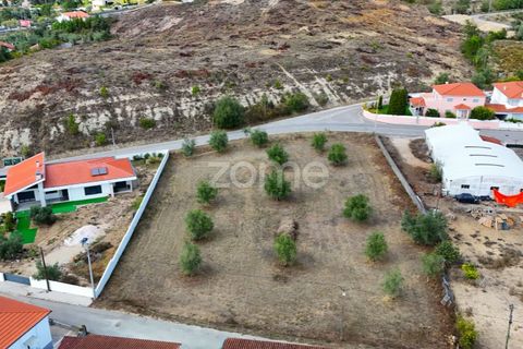 Tomt i Cernache, Coimbra, Cernache - € 220 000 | Ref: ZMPT580748 - foto 3