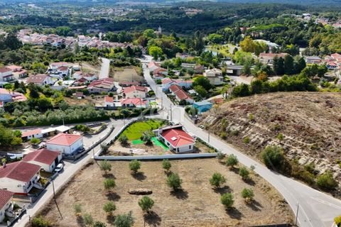 Tomt i Cernache, Coimbra, Cernache - € 220 000 | Ref: ZMPT580748 - foto 4