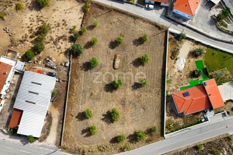 Tomt i Cernache, Coimbra, Cernache - € 220 000 | Ref: ZMPT580748 - foto 5