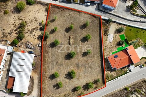 Tomt i Cernache, Coimbra, Cernache - € 220 000 | Ref: ZMPT580748 - foto 6