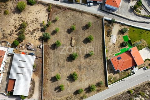 Tomt i Cernache, Coimbra, Cernache - € 220 000 | Ref: ZMPT580748 - foto 7