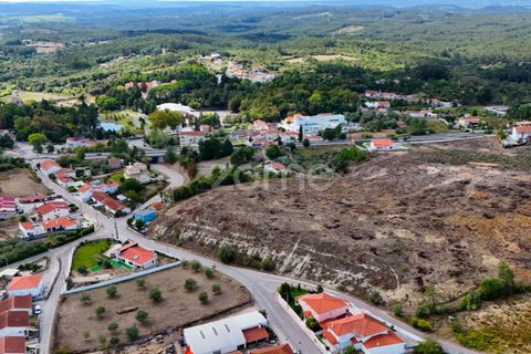 Tomt i Cernache, Coimbra, Cernache - € 220 000 | Ref: ZMPT580748 - foto 8