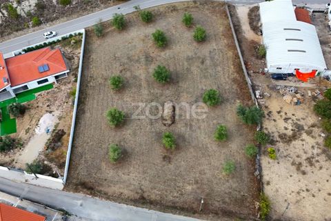 Tomt i Cernache, Coimbra, Cernache - € 220 000 | Ref: ZMPT580748 - foto 11