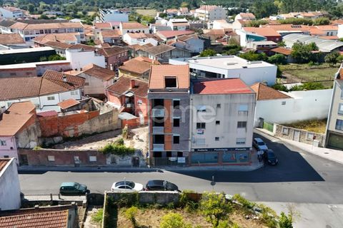 Lejlighed i Cantanhede, Coimbra, Cantanhede - € 198.000 | Ref: ZMPT580826 - foto 15