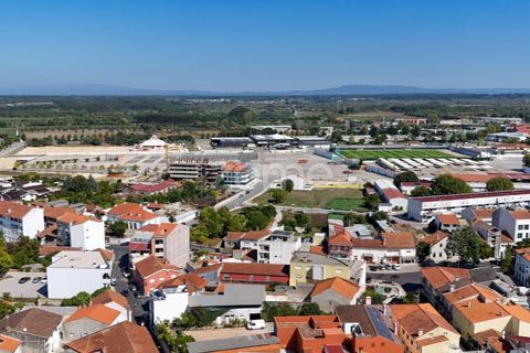 Lejlighed i Cantanhede, Coimbra, Cantanhede - € 222.000 | Ref: ZMPT580828 - foto 20