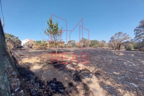 Terra a Guilheiro, Guarda, Guilheiro - € 40.000 | Ref: 243B/ 2025 - foto 2