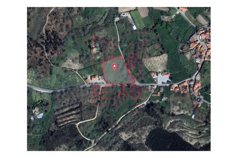 Terra a Guilheiro, Guarda, Guilheiro - € 40.000 | Ref: 243B/ 2025 - foto 5
