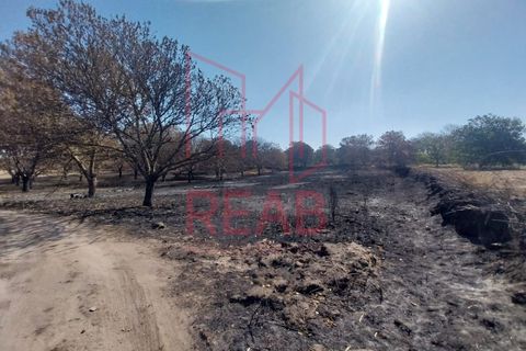 Terra a Guilheiro, Guarda, Guilheiro - € 90.000 | Ref: 243A/ 2025 - foto 5