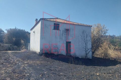Terra a Guilheiro, Guarda, Guilheiro - € 90.000 | Ref: 243A/ 2025 - foto 11