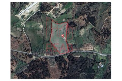 Terra a Guilheiro, Guarda, Guilheiro - € 90.000 | Ref: 243A/ 2025 - foto 12