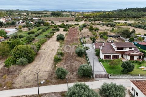 Helårsgrund i Cantanhede, Coimbra, Cantanhede - € 47.500 | Ref: ZMPT580792 - foto 9