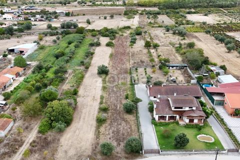 Helårsgrund i Cantanhede, Coimbra, Cantanhede - € 47.500 | Ref: ZMPT580792 - foto 4
