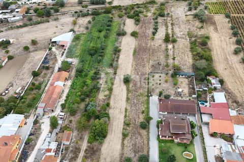 Helårsgrund i Cantanhede, Coimbra, Cantanhede - € 47.500 | Ref: ZMPT580792 - foto 5