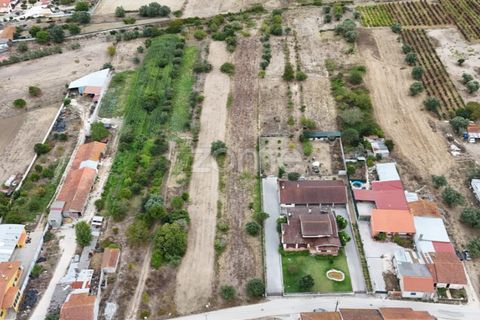 Helårsgrund i Cantanhede, Coimbra, Cantanhede - € 47.500 | Ref: ZMPT580792 - foto 6
