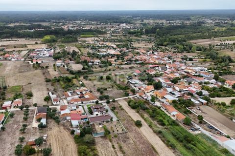 Helårsgrund i Cantanhede, Coimbra, Cantanhede - € 47.500 | Ref: ZMPT580792 - foto 8