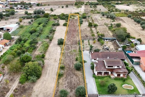 Helårsgrund i Cantanhede, Coimbra, Cantanhede - € 47.500 | Ref: ZMPT580792 - foto 1