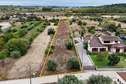 Helårsgrund i Cantanhede, Coimbra, Cantanhede - € 47.500 | Ref: ZMPT580792 - foto 2