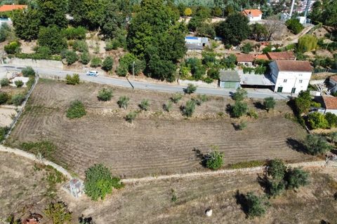 Helårsgrund i Tabua, Coimbra, Tabua - € 52.000 | Ref: RR97971 - foto 3