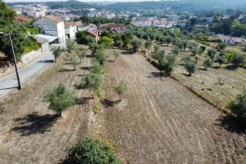 Helårsgrund i Tabua, Coimbra, Tabua - € 52.000 | Ref: RR97971 - foto 4