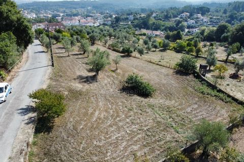 Helårsgrund i Tabua, Coimbra, Tabua - € 52.000 | Ref: RR97971 - foto 6