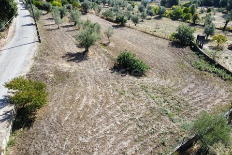 Helårsgrund i Tabua, Coimbra, Tabua - € 52.000 | Ref: RR97971 - foto 7