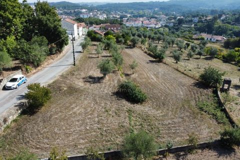 Helårsgrund i Tabua, Coimbra, Tabua - € 52.000 | Ref: RR97971 - foto 8