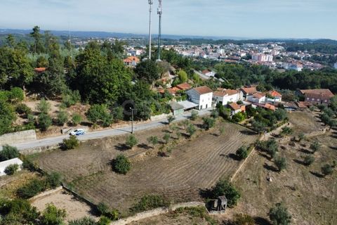 Helårsgrund i Tabua, Coimbra, Tabua - € 52.000 | Ref: RR97971 - foto 9