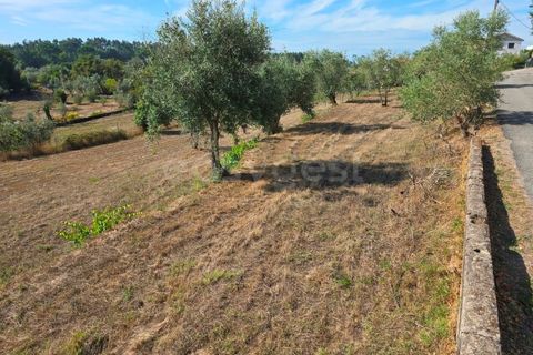 Helårsgrund i Tabua, Coimbra, Tabua - € 52.000 | Ref: RR97971 - foto 10