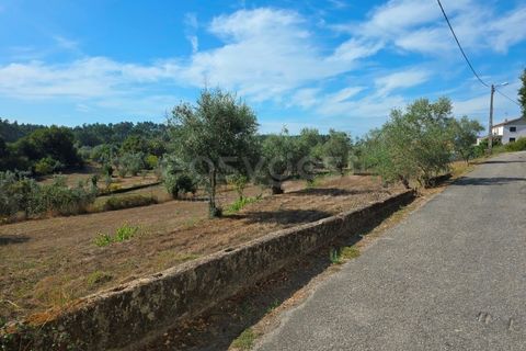Helårsgrund i Tabua, Coimbra, Tabua - € 52.000 | Ref: RR97971 - foto 11