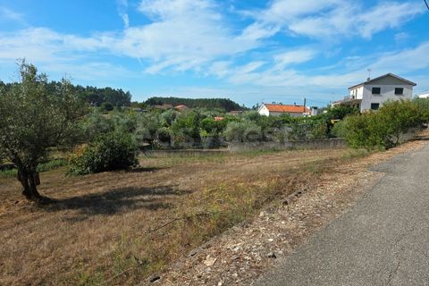 Helårsgrund i Tabua, Coimbra, Tabua - € 52.000 | Ref: RR97971 - foto 12