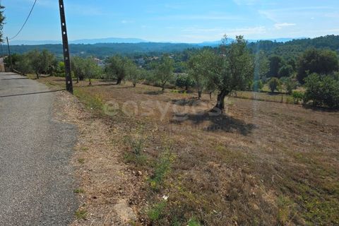 Helårsgrund i Tabua, Coimbra, Tabua - € 52.000 | Ref: RR97971 - foto 14