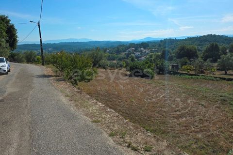 Helårsgrund i Tabua, Coimbra, Tabua - € 52.000 | Ref: RR97971 - foto 15