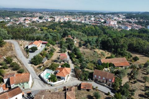 Helårsgrund i Tabua, Coimbra, Tabua - € 52.000 | Ref: RR97971 - foto 16