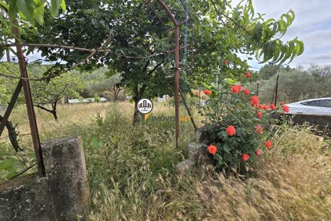 Villa i Castelo Branco, Castelo Branco, Castelo Branco - € 150.000 | Ref: 2871 - foto 7