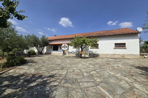 Villa i Castelo Branco, Castelo Branco, Castelo Branco - € 835.000 | Ref: 2887 - foto 7