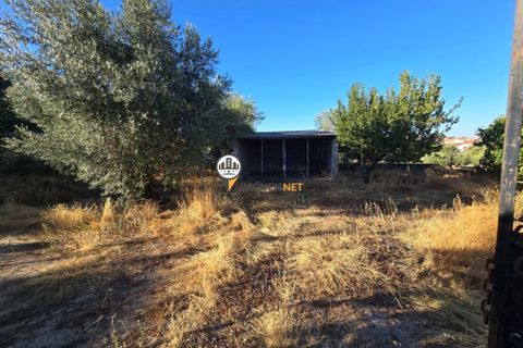 Helårsgrund i Castelo Branco, Castelo Branco, Castelo Branco - € 30.000 | Ref: 2900 - foto 1