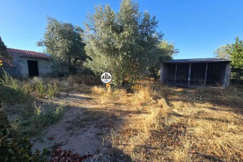 Helårsgrund i Castelo Branco, Castelo Branco, Castelo Branco - € 30.000 | Ref: 2900 - foto 2
