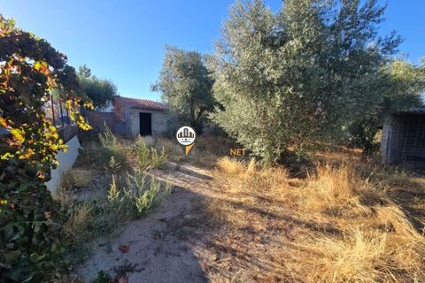 Helårsgrund i Castelo Branco, Castelo Branco, Castelo Branco - € 30.000 | Ref: 2900 - foto 4