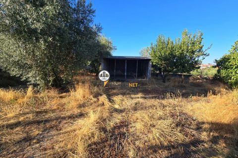 Helårsgrund i Castelo Branco, Castelo Branco, Castelo Branco - € 30.000 | Ref: 2900 - foto 5