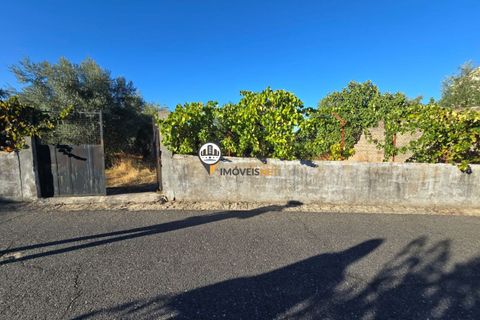 Helårsgrund i Castelo Branco, Castelo Branco, Castelo Branco - € 30.000 | Ref: 2900 - foto 6