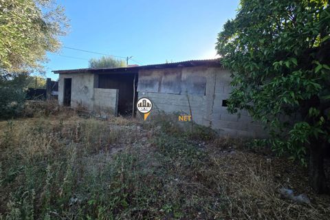 Helårsgrund i Castelo Branco, Castelo Branco, Castelo Branco - € 30.000 | Ref: 2900 - foto 7
