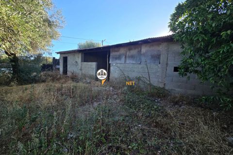 Helårsgrund i Castelo Branco, Castelo Branco, Castelo Branco - € 30.000 | Ref: 2900 - foto 8