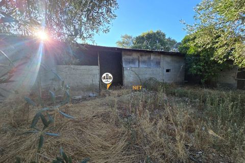 Helårsgrund i Castelo Branco, Castelo Branco, Castelo Branco - € 30.000 | Ref: 2900 - foto 9
