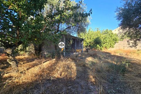 Helårsgrund i Castelo Branco, Castelo Branco, Castelo Branco - € 30.000 | Ref: 2900 - foto 10