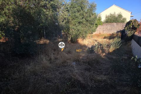 Helårsgrund i Castelo Branco, Castelo Branco, Castelo Branco - € 30.000 | Ref: 2900 - foto 15