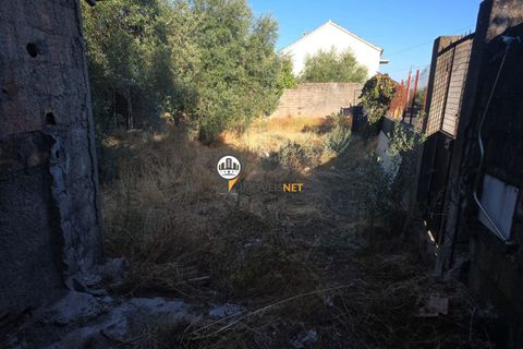Helårsgrund i Castelo Branco, Castelo Branco, Castelo Branco - € 30.000 | Ref: 2900 - foto 16