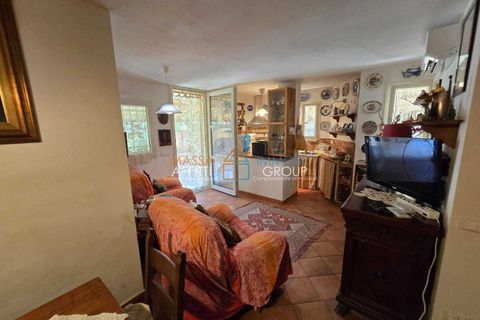 Villa en Massa, Massa and Carrara, Massa - € 420.000 | Ref: 3516 - photo 47